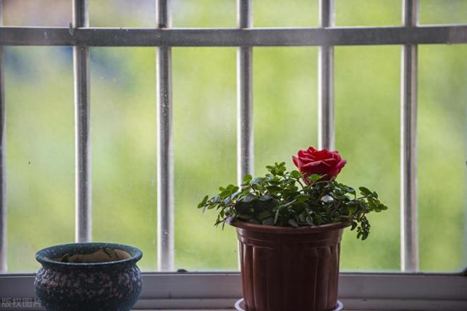 活方式：做好这三点准备能保住身家性命麻将胡了app未来五年最有远见的生(图1)