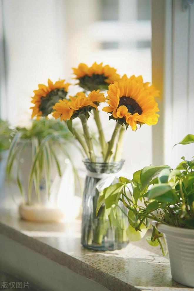 活方式：做好这三点准备能保住身家性命麻将胡了app未来五年最有远见的生(图2)