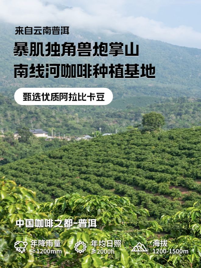 ：1 秒即溶轻松应对早八困倦麻将胡了暴肌